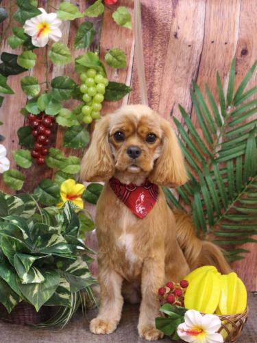 20230830ル―ちゃん